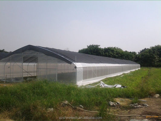 Hidroponia de tomate de estufa agrícola para aumento do rendimento em single span design