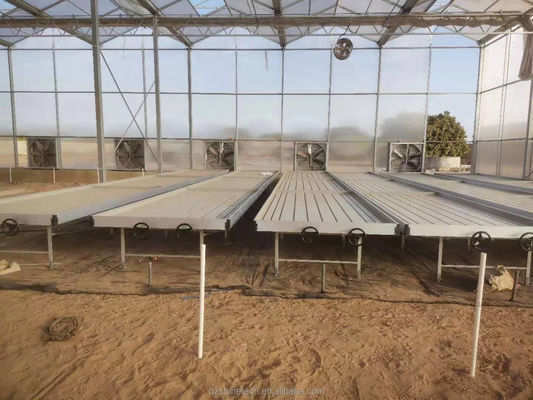 Estufas industriais de policarbonato Ideal para o cultivo de vegetais Frutas Flores