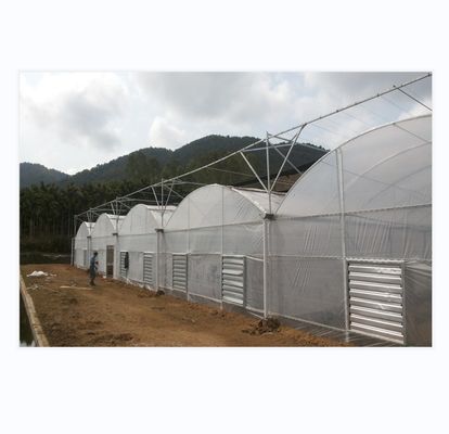 150/200 Estufas de película multi-espansão de PE de micro-cobertura para o cultivo de tomate na agricultura