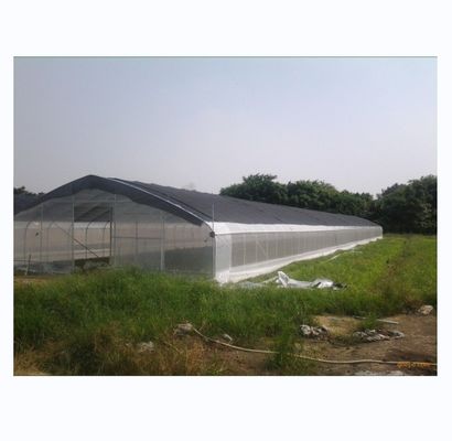 150/200micro Film High Tunnel Estufas agrícolas para o cultivo hidropónico de tomate