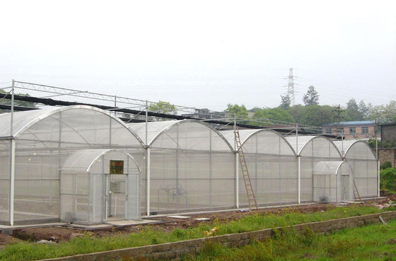 150/200 Estufas de película multi-espansão de PE de micro-cobertura para o cultivo de tomate na agricultura