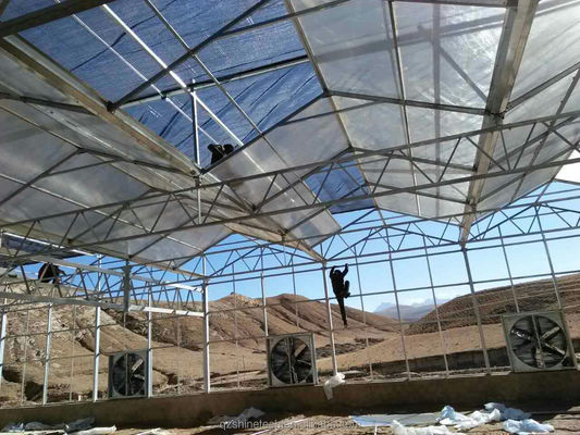 Estufas agrícolas pré-fabricadas com chapas industriais de policarbonato e sistema de arrefecimento