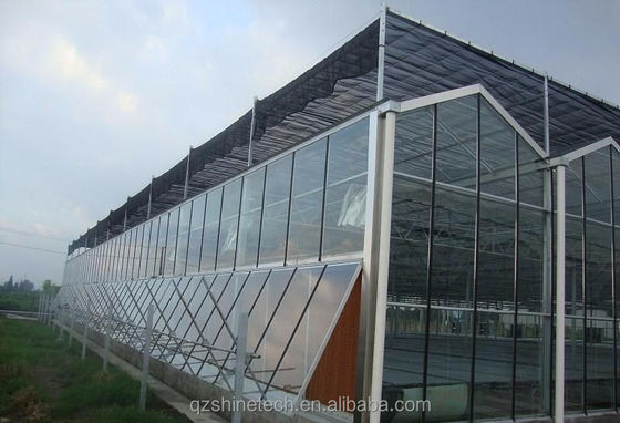Estruturas de aço galvanizado, revestidas de vidro, estufa agrícola com desenho de instalação