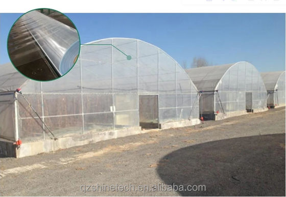 150/200micro Film High Tunnel Estufas agrícolas para o cultivo hidropónico de tomate
