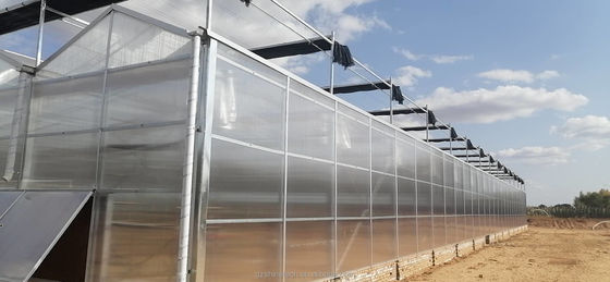 Estufas agrícolas pré-fabricadas com chapas industriais de policarbonato e sistema de arrefecimento