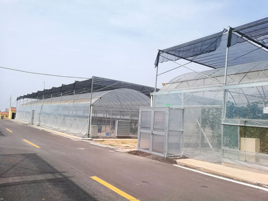 150/200 Estufas de película multi-espansão de PE de micro-cobertura para o cultivo de tomate na agricultura