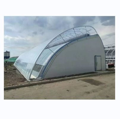 Largura 50-120 m Estufas solares comerciais com duplo isolamento para zonas de inverno e frio