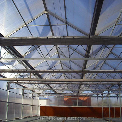 Vegetais Frutas e Flores Estufa Agrícola Multi-Span Com Vidro Temperado