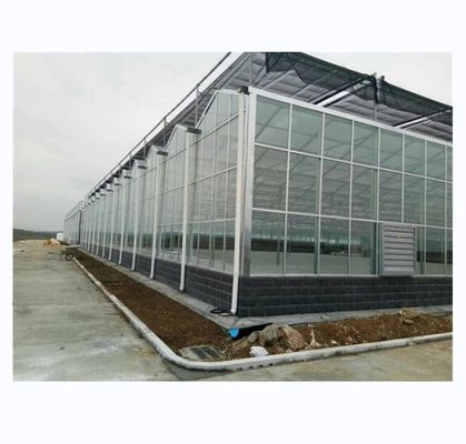 Estufas de vidro Venlo de resistência super forte para o projeto comercial agrícola chave na mão
