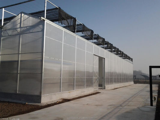 Vegetais Frutas e Flores Estufa Agrícola Multi-Span Com Vidro Temperado