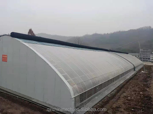 Largura 50-120 m Estufas solares comerciais com duplo isolamento para zonas de inverno e frio