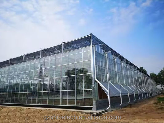 Estufas de vidro Venlo de resistência super forte para o projeto comercial agrícola chave na mão