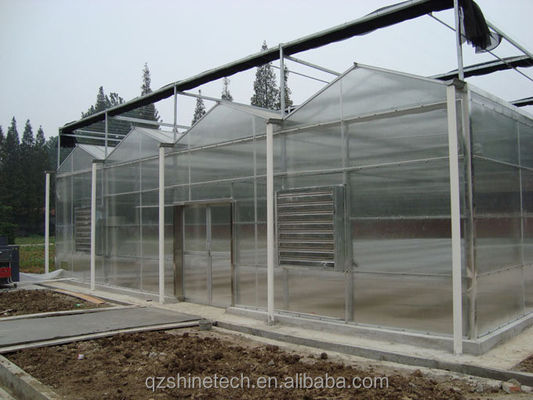 Vegetais Frutas e Flores Estufa Agrícola Multi-Span Com Vidro Temperado
