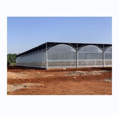 Estufas inteligentes para o cultivo de tomate