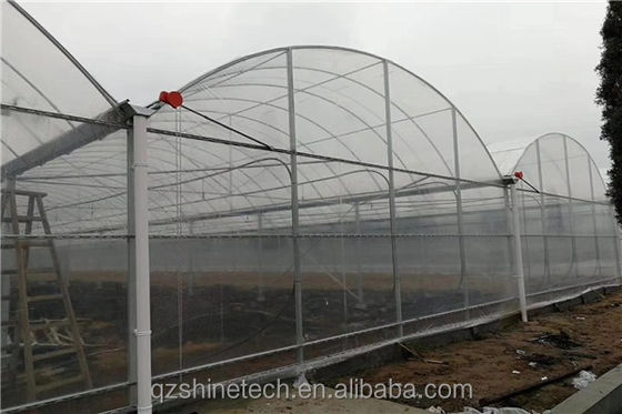 Estufas inteligentes para o cultivo de tomate