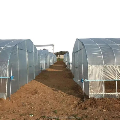Estufas agrícolas monoespessas revestidas por filme para o cultivo de culturas hidropónicas