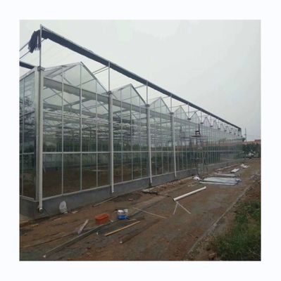 Equipamento agrícola de estufa de vidro multiespans para vegetais, frutas e flores