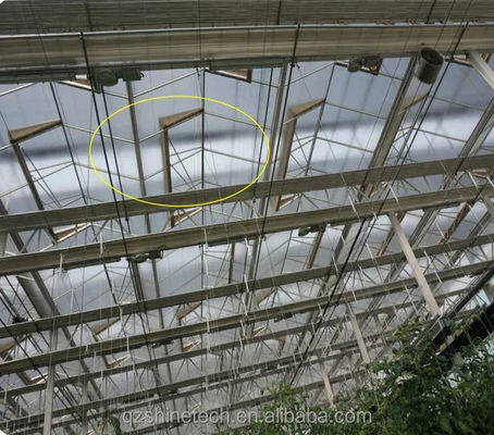 Equipamento agrícola de estufa de vidro multiespans para vegetais, frutas e flores