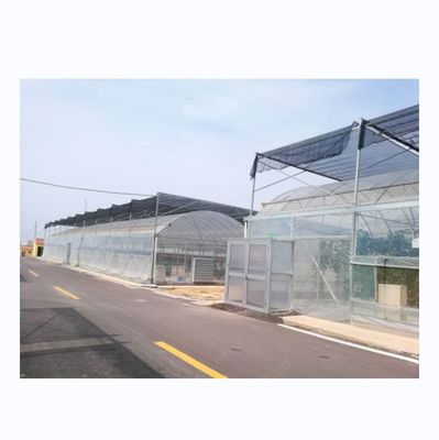 4.0-8.0M Altura Estufa de película multi-espansão agrícola com resistência super forte