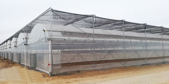 4.0-8.0M Altura Estufa de película multi-espansão agrícola com resistência super forte