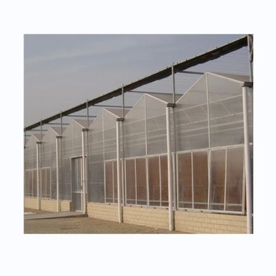 Serras Agrícolas de 8 mm de folha de PC Multi-Span para Agricultura Sustentável