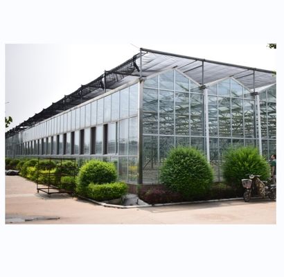 Sistemas de cultivo hidropônico de cobertura de vidro NFT A solução definitiva para a agricultura vertical
