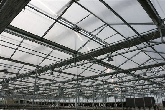 Serras Agrícolas de 8 mm de folha de PC Multi-Span para Agricultura Sustentável