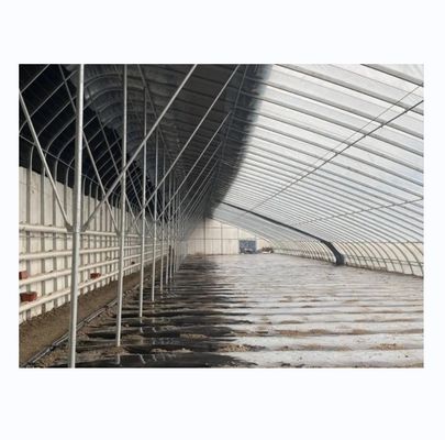 Estufas solares de Inverno Estufas agrícolas quentes com estrutura de aço galvanizado