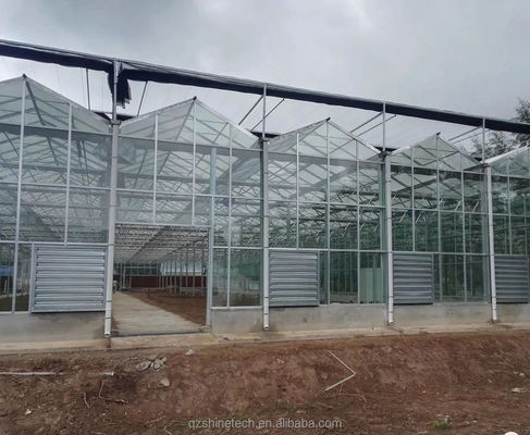 Sistemas de cultivo hidropônico de cobertura de vidro NFT A solução definitiva para a agricultura vertical