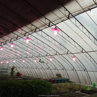 Estufas solares de Inverno Estufas agrícolas quentes com estrutura de aço galvanizado