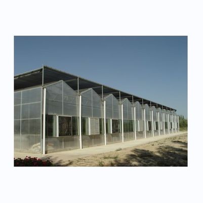 Resistência Super Forte 8mm Policarbonato Cobrindo Multi-Span Estufas para Tomates