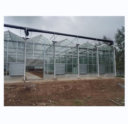 Estufas agrícolas revestidas de vidro temperado para o cultivo de vegetais em Holanda