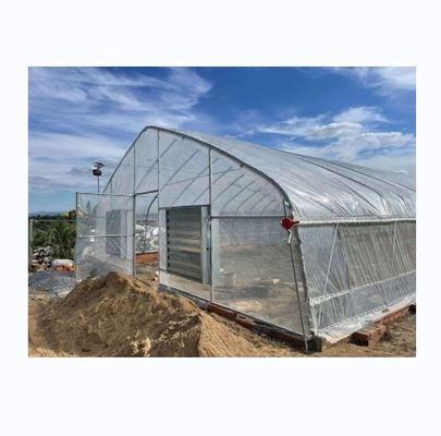 6-10m Largura de uma única camada de alta resistência Estufa de túnel poli para a produção de tomate