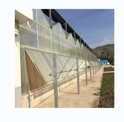 Vegetais Frutas Flores Estufas Multiplas Estufas Estufas Agrícolas Com Sistemas Hidropónicos