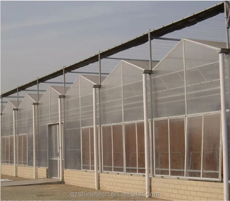 Vegetais Frutas Flores Estufas Multiplas Estufas Estufas Agrícolas Com Sistemas Hidropónicos