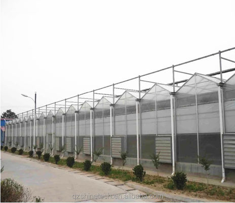 Vegetais Frutas Flores Estufas Multiplas Estufas Estufas Agrícolas Com Sistemas Hidropónicos