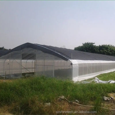 Estufa de túnel de PE para o cultivo hidropónico de tomate, fácil montagem Comprimento 10-100m
