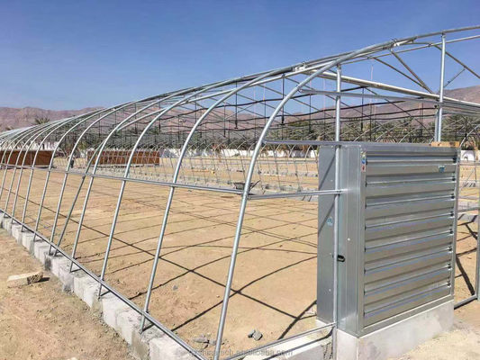 Estufa de túnel de PE para o cultivo hidropónico de tomate, fácil montagem Comprimento 10-100m
