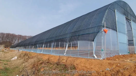 Estufa de túnel de PE para o cultivo hidropónico de tomate, fácil montagem Comprimento 10-100m