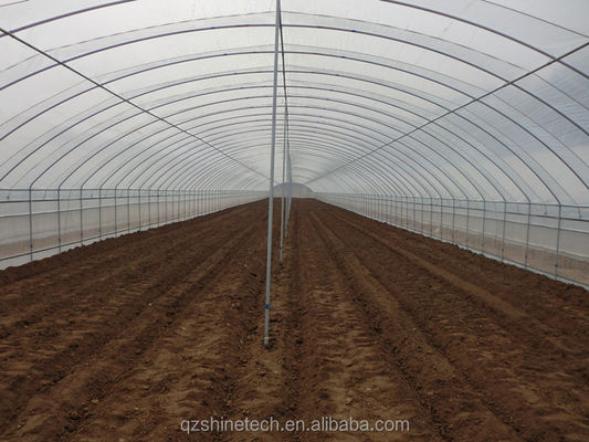 Estufa de túnel de PE para o cultivo hidropónico de tomate, fácil montagem Comprimento 10-100m