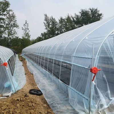 Estufa de túnel de PE para o cultivo hidropónico de tomate, fácil montagem Comprimento 10-100m
