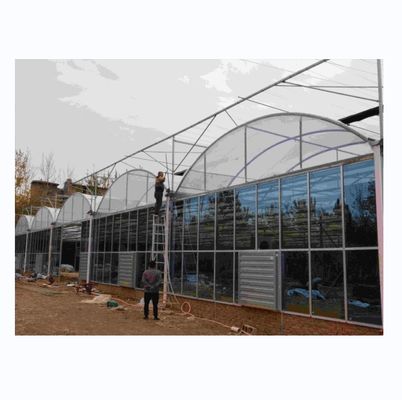 Fundição de tubos de aço galvanizados a quente