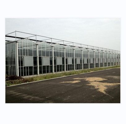 Grande Agricultura Inteligente Holland Estufas de Vidro para Tomates Pepino Alface