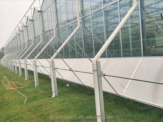 Grande Agricultura Inteligente Holland Estufas de Vidro para Tomates Pepino Alface
