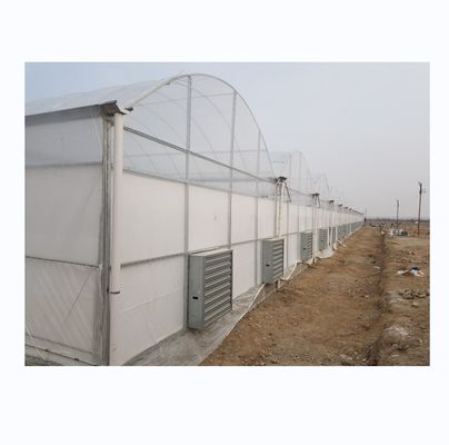 Super Resistência Multi-Span Estufas Agropecuárias By Shine Tech