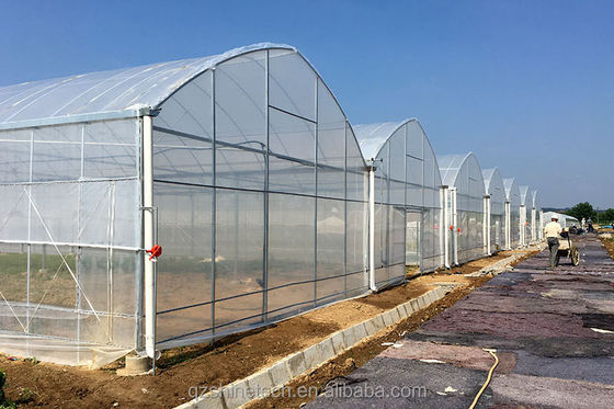Super Resistência Multi-Span Estufas Agropecuárias By Shine Tech