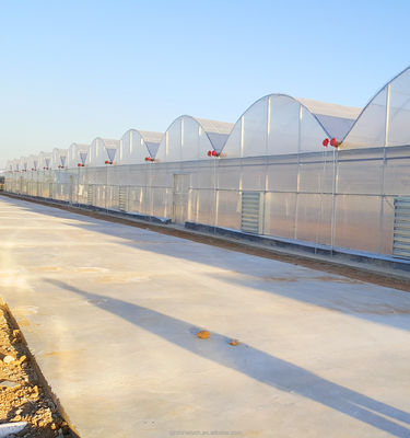 Super Resistência Multi-Span Estufas Agropecuárias By Shine Tech