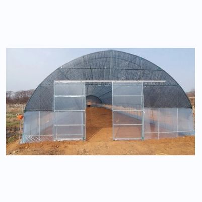 Estufas de tomate cobertas com filme de túnel alto com rede de sombra de camada única 10-100m de comprimento