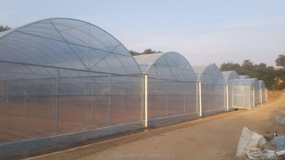 Super Resistência Multi-Span Estufas Agropecuárias By Shine Tech