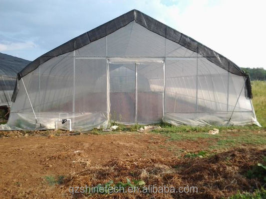 Estufas de tomate cobertas com filme de túnel alto com rede de sombra de camada única 10-100m de comprimento